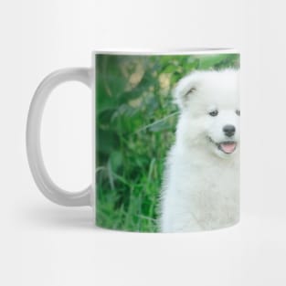 Samoyed puppy portrait Mug